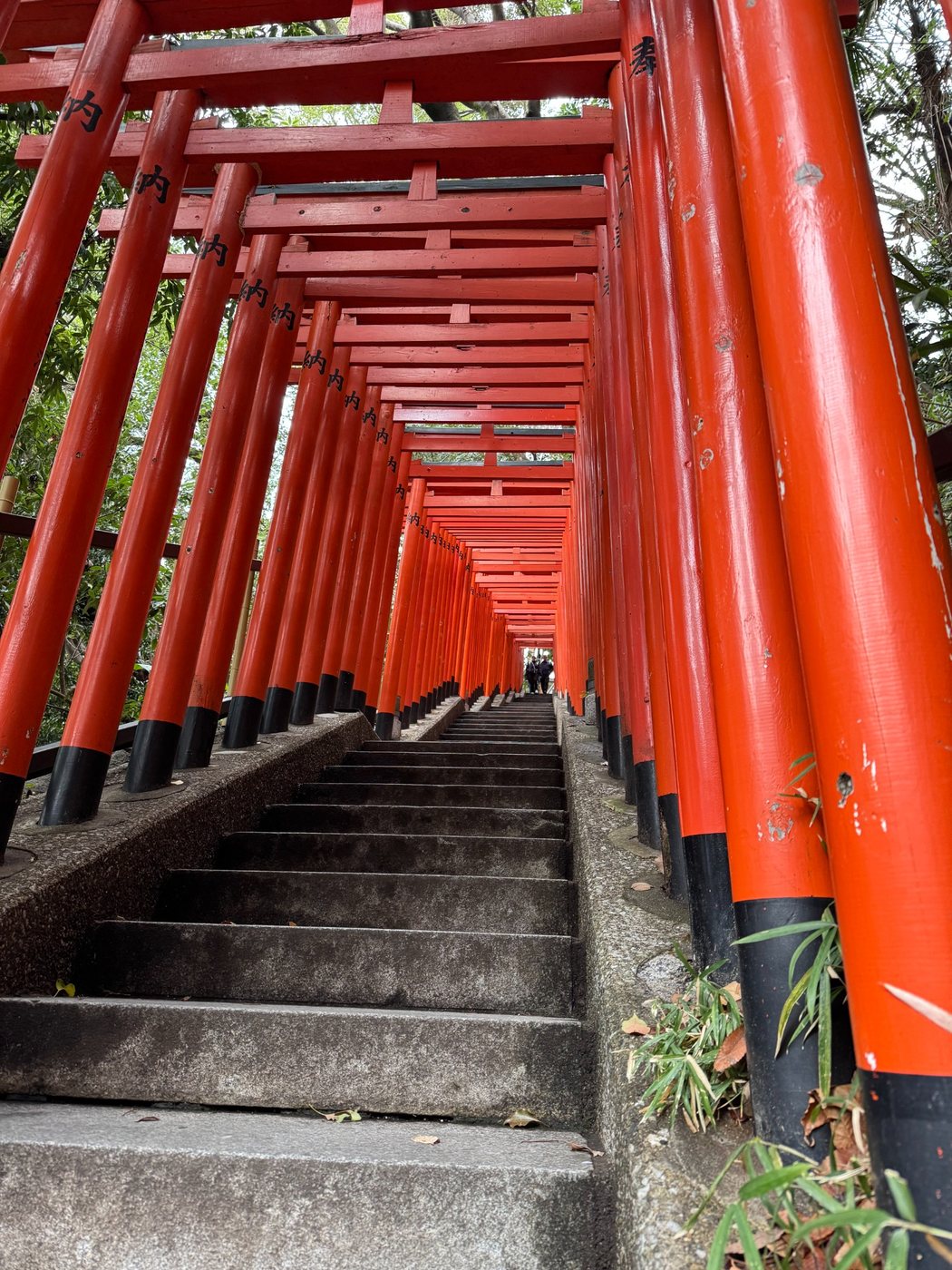 A tunnel of vermilion torii gates